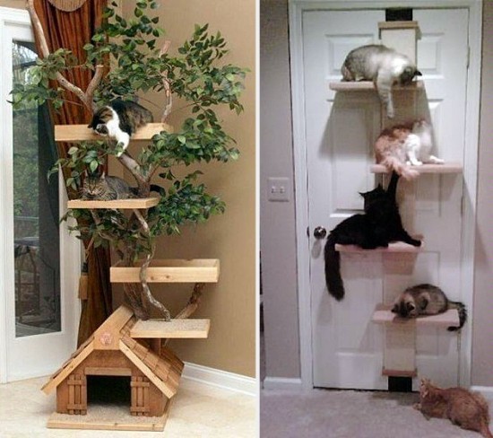 18-Creative-Spaces-Designed-For-Your-Cat-018