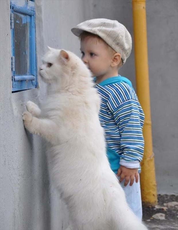 Animals-Make-The-Best-Babysitters-006