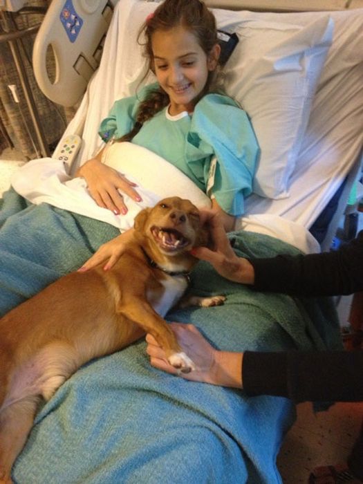 Awesome-Dog-Photos-031