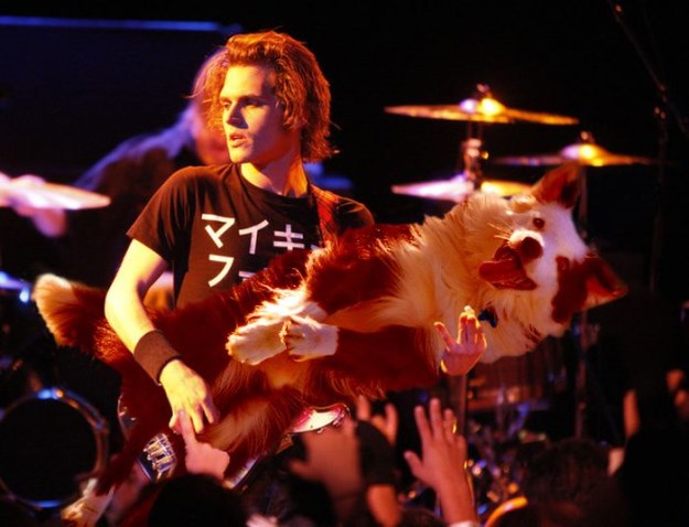 Bass-Guitars-Replaced-by-Dogs-003