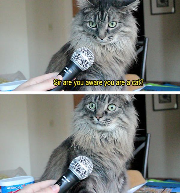 Funny-Pictures-with-Text-002