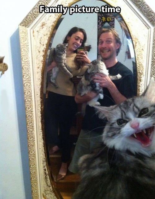 Funny-Pictures-with-Text-017