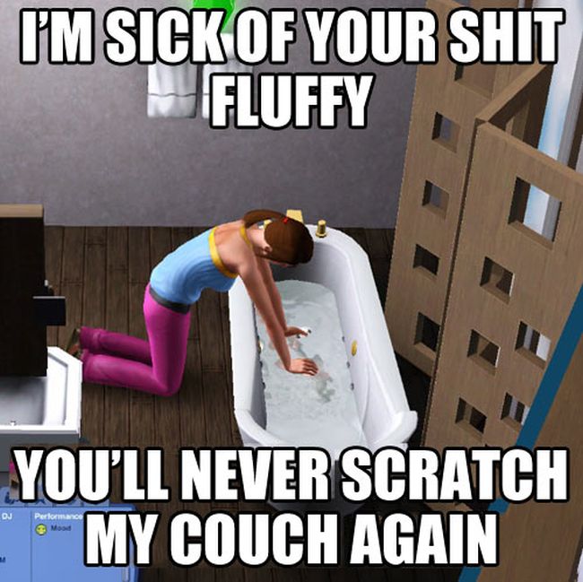 Funny-Pictures-with-Text-033