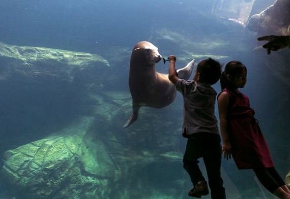 Great-Animal-Photos-007