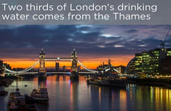 Interesting-Facts-About-The-River-Thames-008