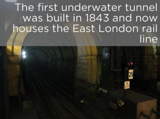 Interesting-Facts-About-The-River-Thames-009