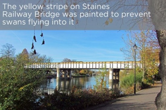 Interesting-Facts-About-The-River-Thames-018