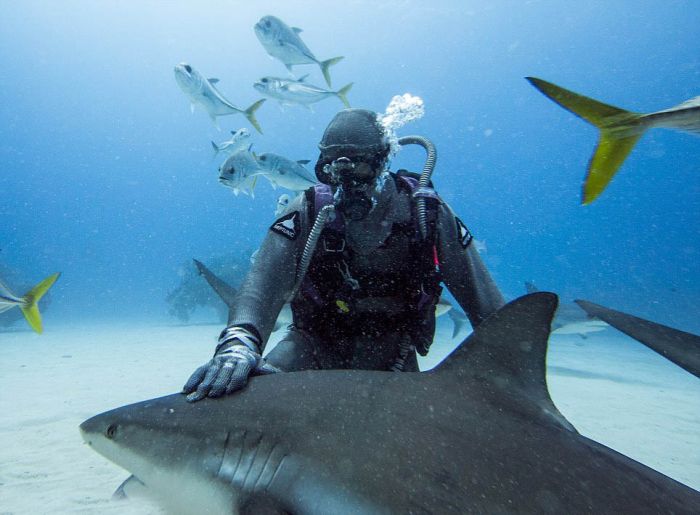Shark-Whisperer-Hypnotises-Shark-001