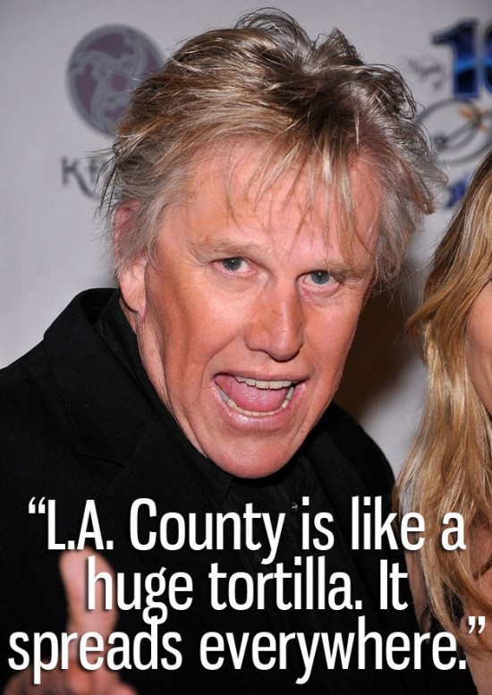 The-Funniest-Quotes-from-Gary-Busey-006