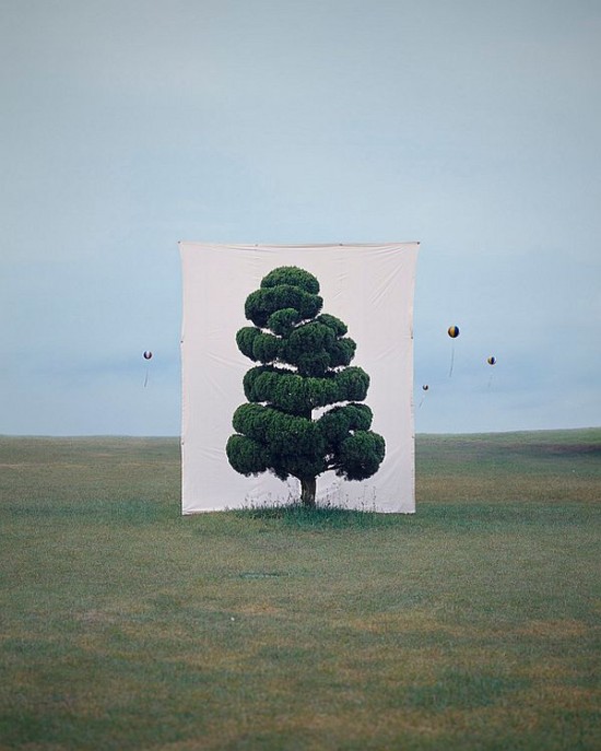 Trees-In-Front-Of-Canvas-Backdrops-Turn-Nature-Into-Art-003