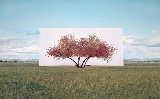 Trees-In-Front-Of-Canvas-Backdrops-Turn-Nature-Into-Art-004