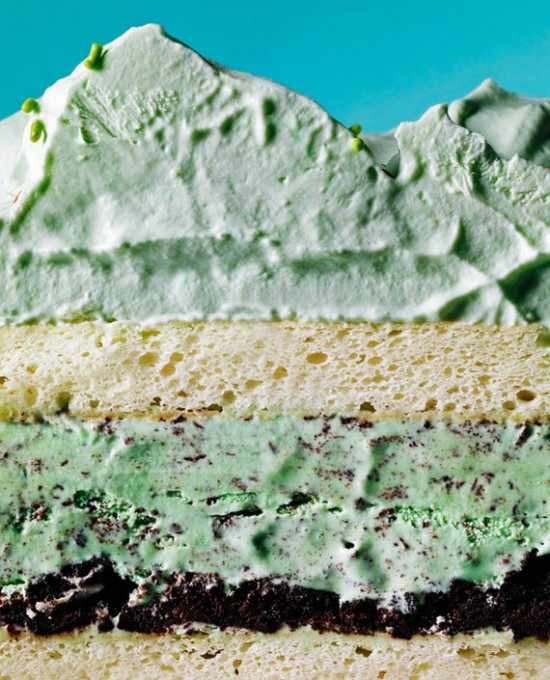 Truly-Beautiful-Ice-Cream-Cakes-031