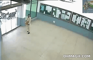 25-GIFs-That-Prove-People-Are-Idiots-003