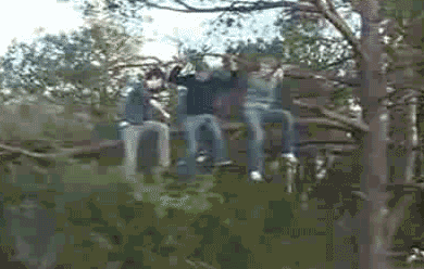 25-GIFs-That-Prove-People-Are-Idiots-006