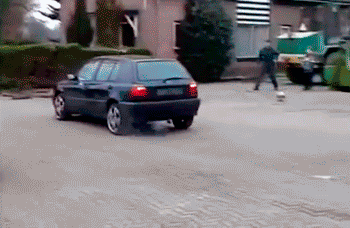 25-GIFs-That-Prove-People-Are-Idiots-008
