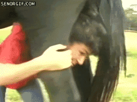 25-GIFs-That-Prove-People-Are-Idiots-017