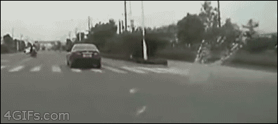 25-GIFs-That-Prove-People-Are-Idiots-025