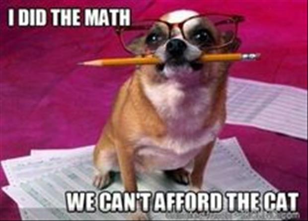 Attack-Of-The-Funny-Animals-005