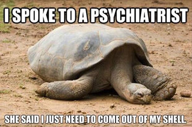 Attack-Of-The-Funny-Animals-020