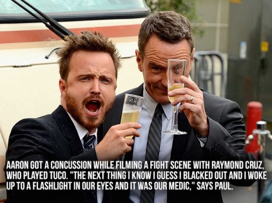 Great-Facts-About-Breaking-Bad-007