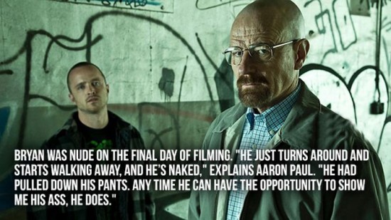 Great-Facts-About-Breaking-Bad-014