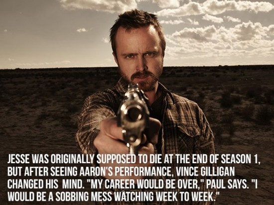 Great-Facts-About-Breaking-Bad-016