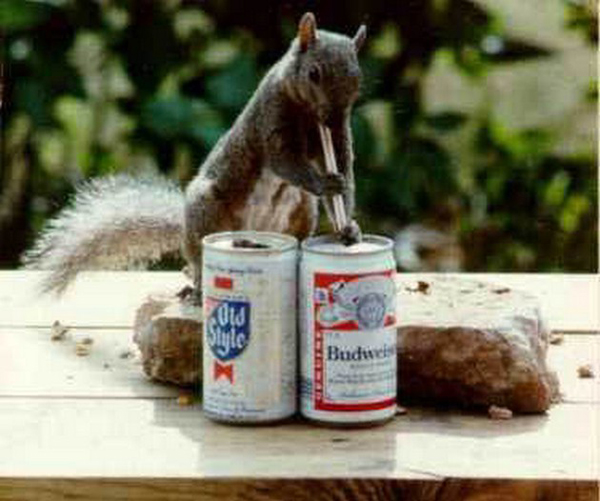 I-Love-You-Too-Beer-001