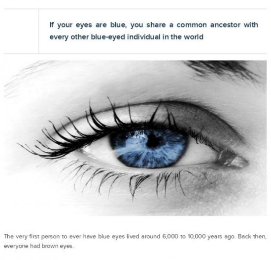 Interesting-Facts-About-Your-Eyes-002