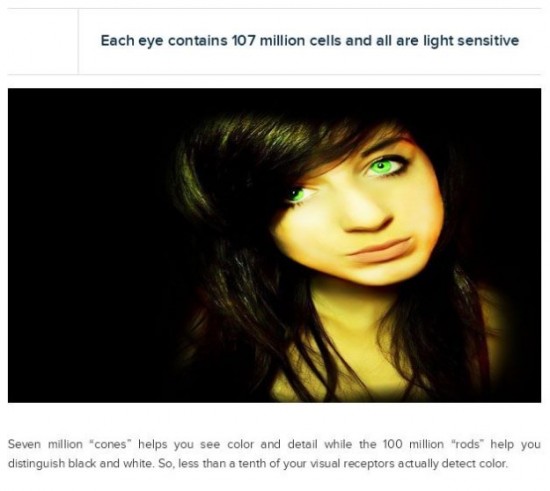 Interesting-Facts-About-Your-Eyes-003