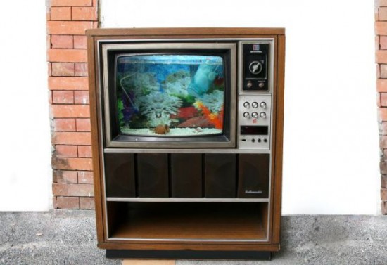 Old-TV-Turned-into-Awesome-Aquarium-019