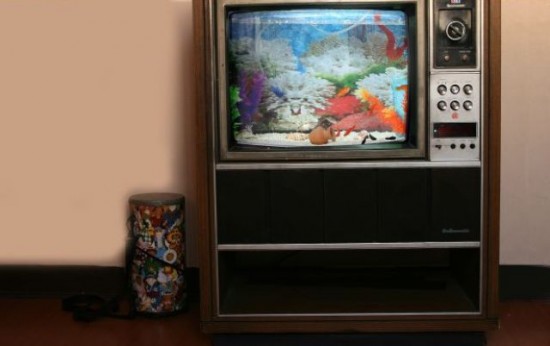Old-TV-Turned-into-Awesome-Aquarium-020