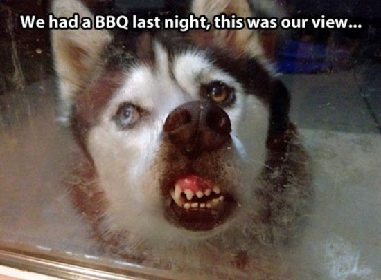 September-27th-Funny-Pic-Dump-027