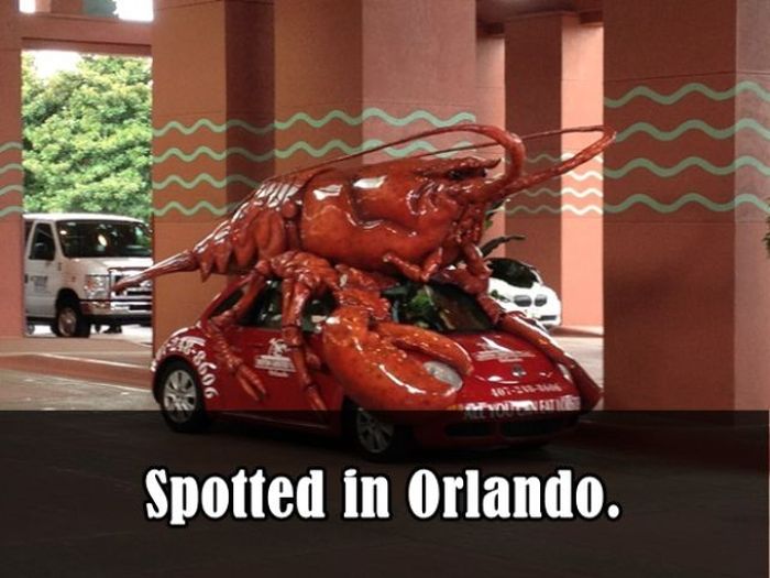 Weird-Things-Spotted-003