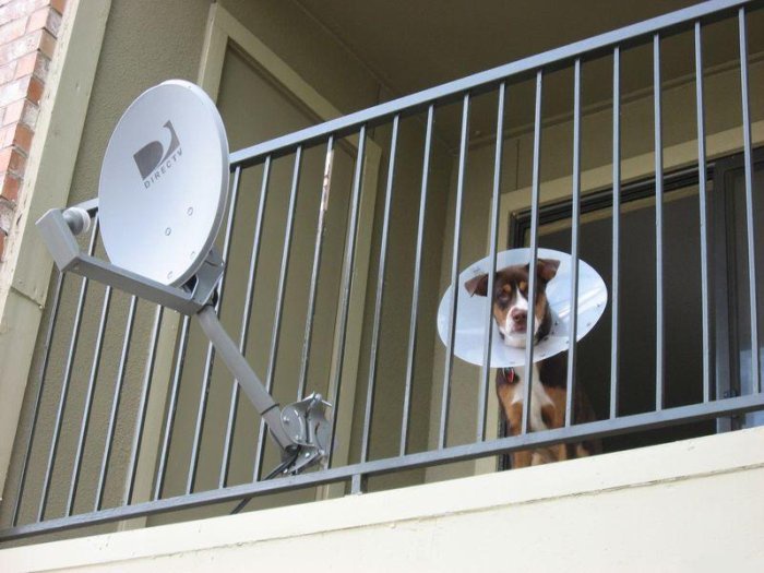 11-Photos-that-Make-Absolutely-No-Sense-002