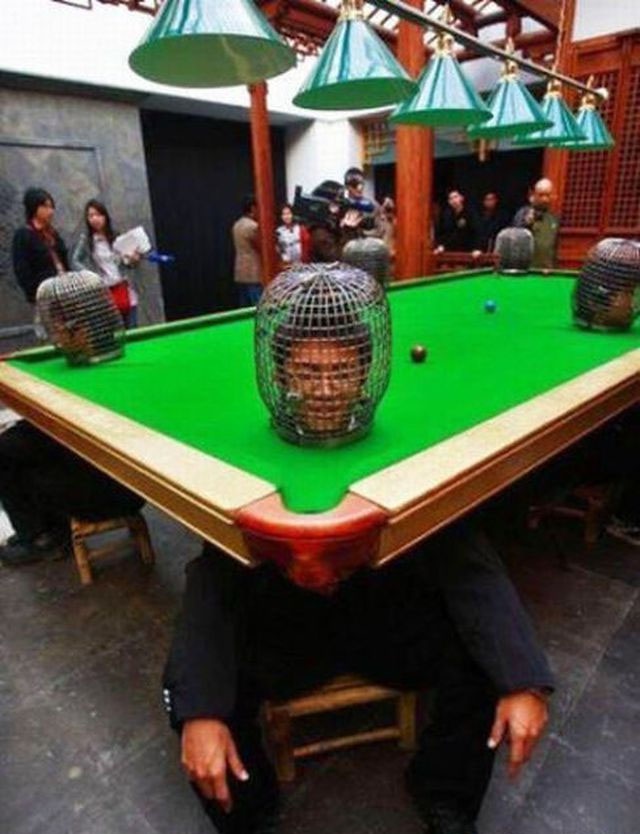11-Photos-that-Make-Absolutely-No-Sense-005