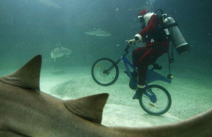 11-Photos-that-Make-Absolutely-No-Sense-006