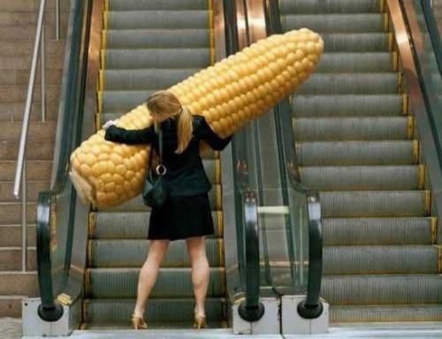11-Photos-that-Make-Absolutely-No-Sense-011