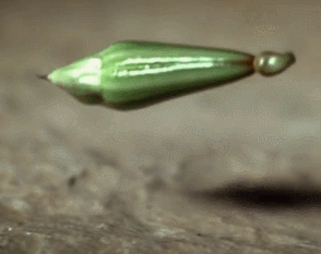25-GIFs-That-Make-Science-Look-Super-Cool-001