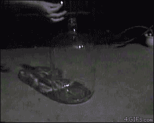 25-GIFs-That-Make-Science-Look-Super-Cool-017