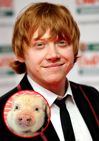 7 Weirdest Celebrity Pets Funcage