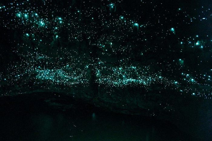 A-New-Zealand-Cave-002