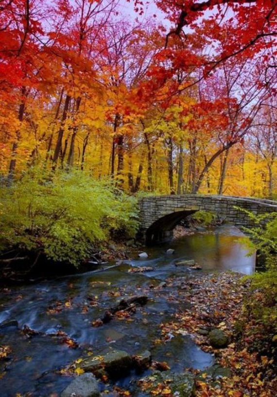 Amazing-Beautiful-Fall-003