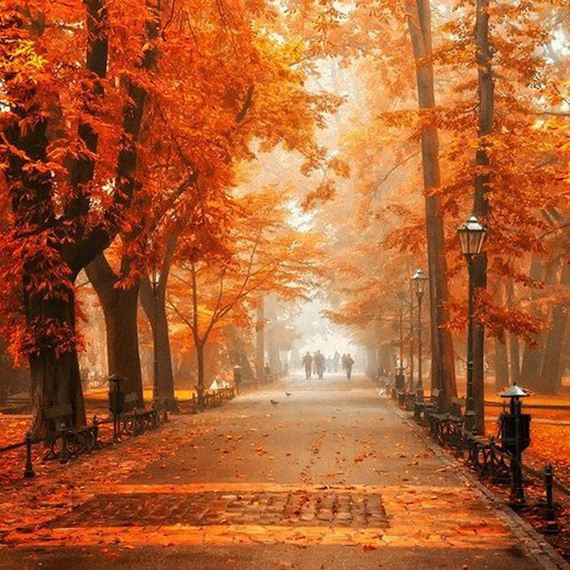 Amazing-Beautiful-Fall-009