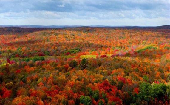 Amazing-Beautiful-Fall-014