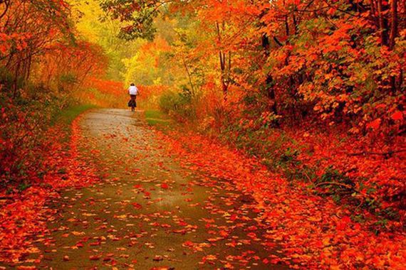 Amazing-Beautiful-Fall-017