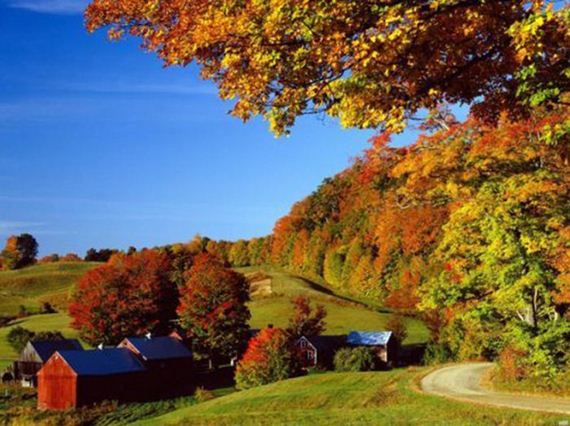 Amazing-Beautiful-Fall-019