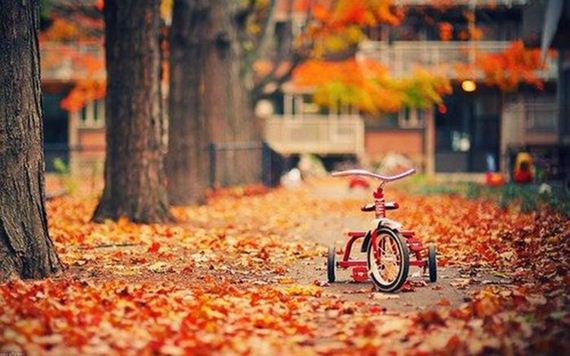 Amazing-Beautiful-Fall-028