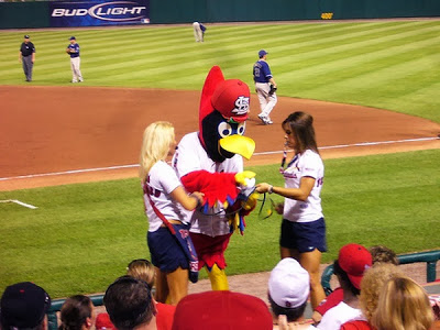 Cardinals-Cheerleaders-002
