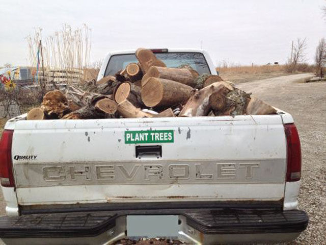 I-do-want-i-want-017