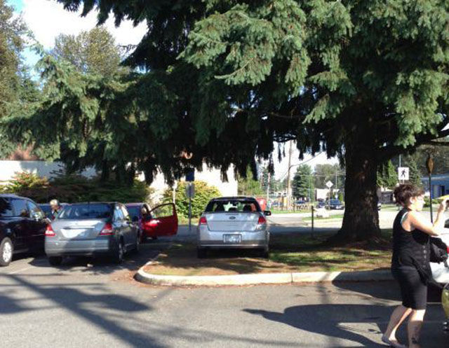 I-do-want-i-want-039